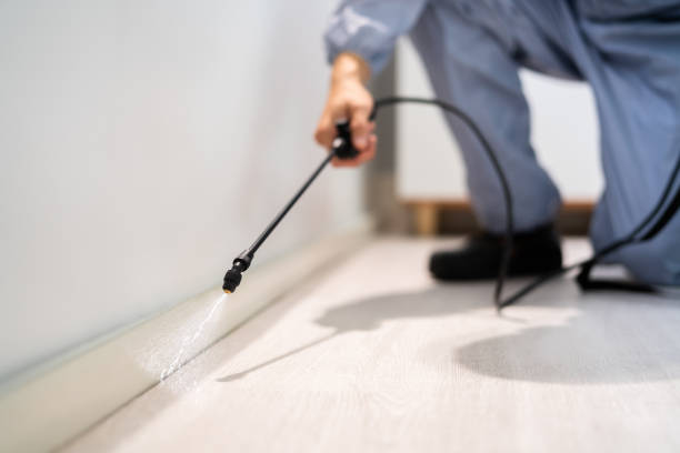 Licensed Cockroach Control service in Hamlin County County, SD - Nex Pest Control